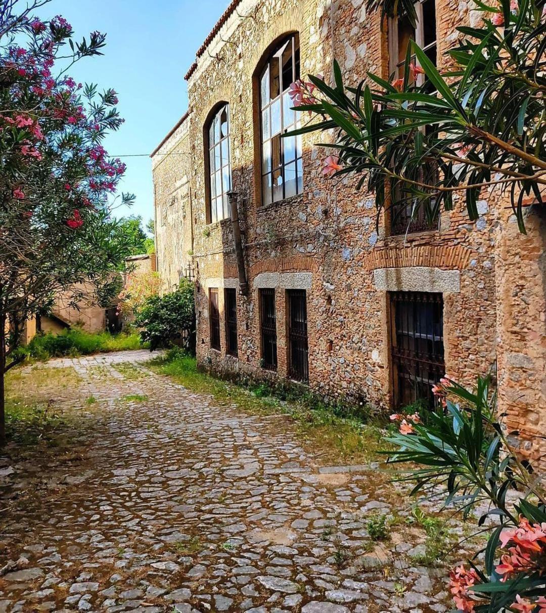 Florence House Santa Caterina dello Ionio Eksteriør bilde